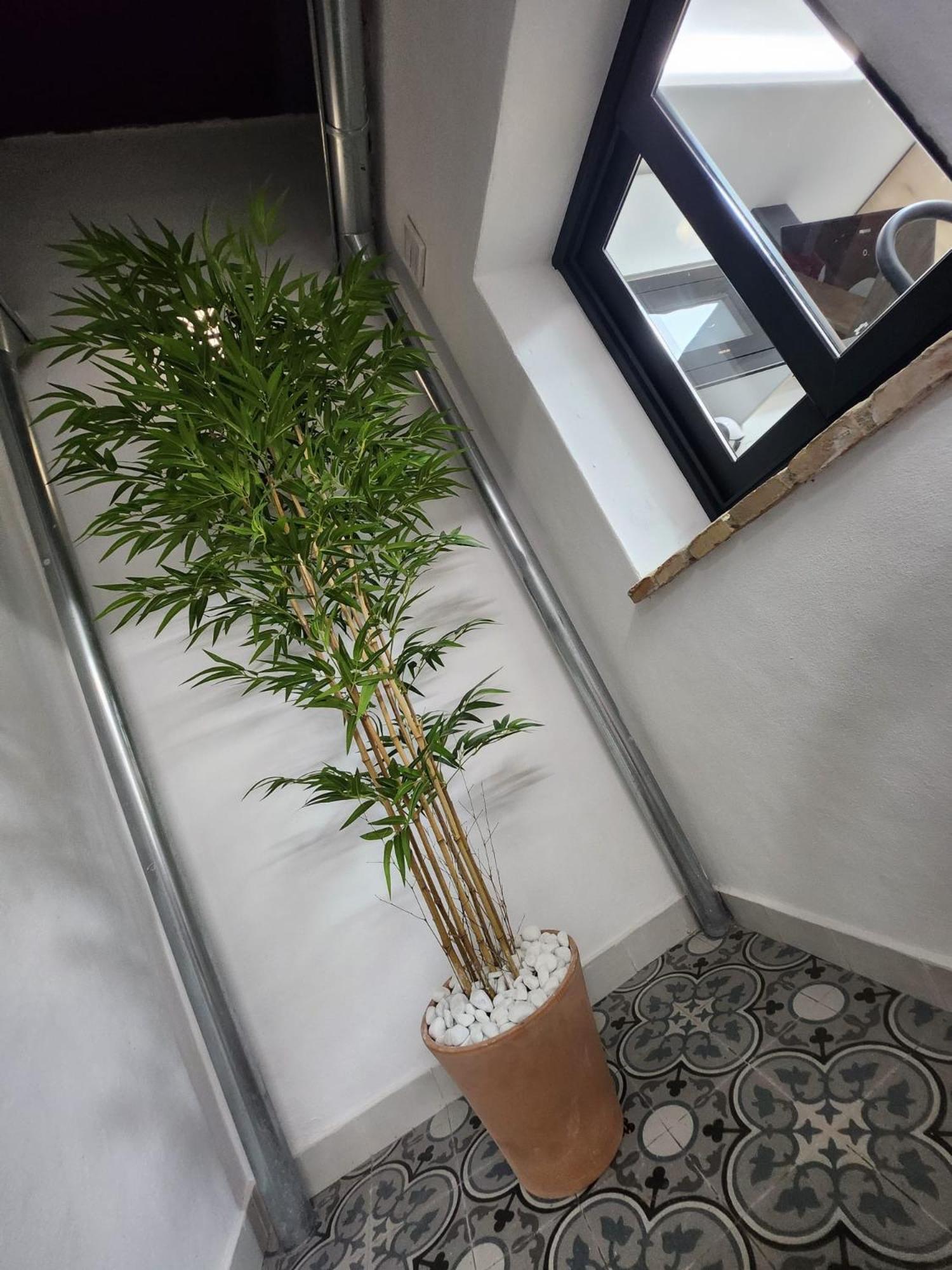 Bailen 3 Apartment Caceres Exterior photo